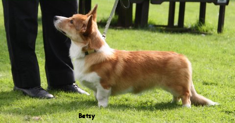 picture of Betsy